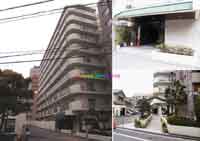 �I���[�u�n�C�c�吳 �O�ώʐ^