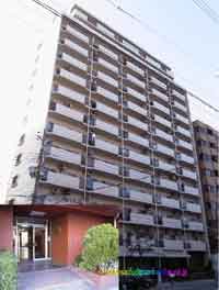 ���g���^�n�C�c�� �O�ώʐ^