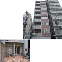 �I���t�@�X�Ԋ� �O�ώʐ^