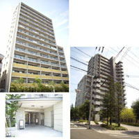 �p�[�N�z�[���Y��������o�[�t�����g �O�ώʐ^