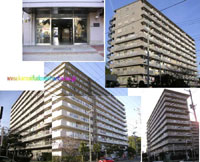 �p�[�N�n�C�c�瓇 �O�ώʐ^