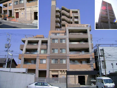 �v���p���X�k���O���V�I�b�\ �O�ώʐ^