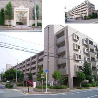 �v���l�X�[�y���A���{���쒬 �O�ώʐ^