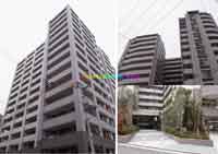 �p�[�N�X�N�G�A�吳 �O�ώʐ^