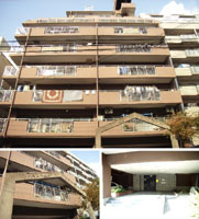 �p���c�B�[�i�ٓV�� �O�ώʐ^