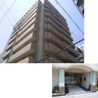 �v���T���X��x�]�p�[�N�T�C�h �O�ώʐ^