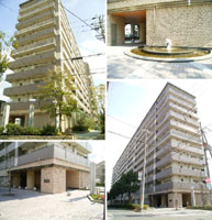 ���[�����R�[�g���{��E�O���� �O�ώʐ^