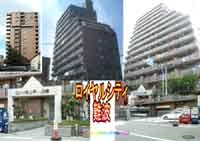 ���C�����V�e�B��g �O�ώʐ^