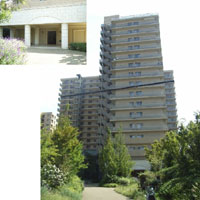 ���[�o�[�K�[�f���݂Ȃƒʂ� �O�ώʐ^