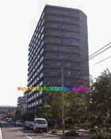 ���s�A�o���� �O�ώʐ^