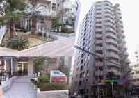 ���W�I�����g�� �O�ώʐ^