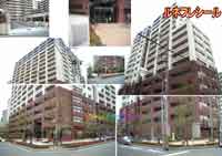 ���l�t���V�[�� �O�ώʐ^