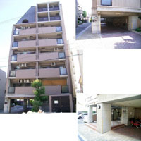 �V�����}���t�W���ׂ̏��蒬 �O�ώʐ^