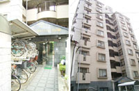 �V�����}���t�W���b�c���̗� �O�ώʐ^