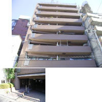 �V�����}���t�W�E���b�c��x�] �O�ώʐ^