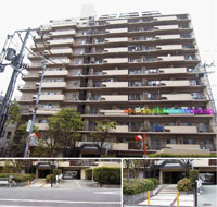 �T���O���[�����g�� �O�ώʐ^