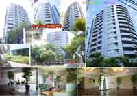 �T���}���V�������{��v���E �O�ώʐ^