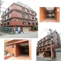 �Z�g�D�郁���g���̗� �O�ώʐ^