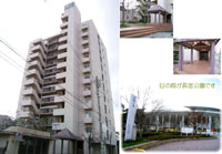 �T�����C�Y�}���V�����R�⒬ �O�ώʐ^