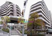 �N���b�N���Ē����Ɗg��\�����܂�