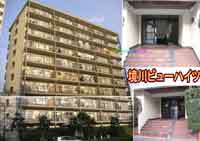 ����r���[�n�C�c(ò��݋����ޭ�ʲ�) �O�ώʐ^