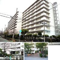 ����O���[���R�[�|���X �O�ώʐ^