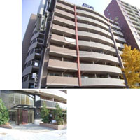 �T���e�B���V���E�F�X�g �O�ώʐ^