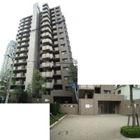 �T���N�^�X�ٓV�� �O�ώʐ^