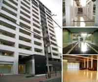 �T���N�^�X���{��U�E�v���~�A �O�ώʐ^