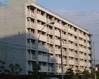 �V�k���R�[�|�R���� �O�ώʐ^