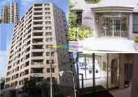 �V���A�[�o���R���t�H�[�g �O�ώʐ^