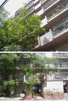 �i�a�]�˖x�A�[�o�����C�t �O�ώʐ^