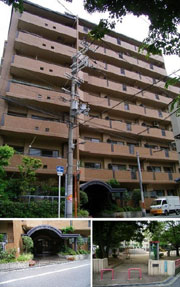 �\���[�����{�� �O�ώʐ^