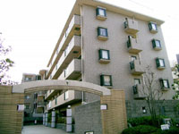 �X�e�C�c���{�쐰���u �O�ώʐ^