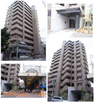 �T�N�Z�X�u���b�W�吳 �O�ώʐ^