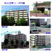 �Z�V�]���R�[�| �O�ώʐ^