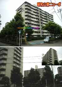 ���a�R���R�[�|(1�2����) �O�ώʐ^