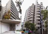 ���}�h�G���E�A���X���g�� �O�ώʐ^