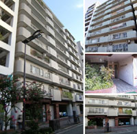 �`�T���}���V�����x���� �O�ώʐ^