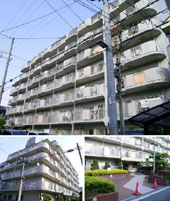 �ƃ��u��c�O�����h�n�C�c �O�ώʐ^