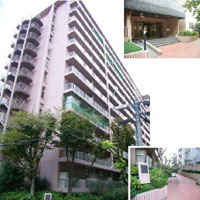 �V�����X�J�C�n�C�c �O�ώʐ^