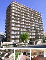 �V������Q�X�J�C�n�C�c �O�ώʐ^