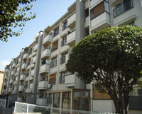 �V�ێR��Q�R�[�|�iA�B�j �O�ώʐ^