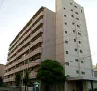 �����R�[�|�P���� �O�ώʐ^