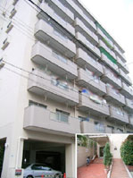 �g�[�J���}���V������ˎR �O�ώʐ^