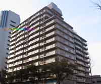 �y���x�R�[�|���X �O�ώʐ^