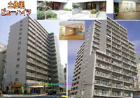 �y���x�r���[�n�C�c �O�ώʐ^