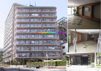 ���j�n�C���s�� �O�ώʐ^