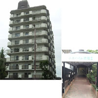 ���j�n�C���s���U �O�ώʐ^