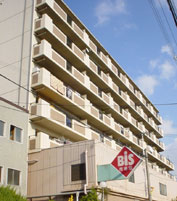 ���j���C�t���{�쏺�a�� �O�ώʐ^